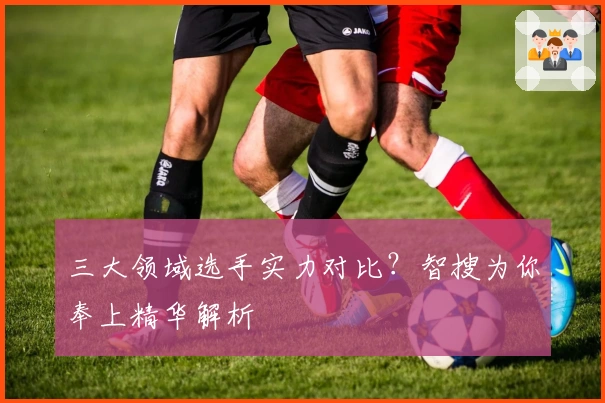 三大领域选手实力对比？智搜为你奉上精华解析