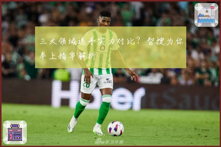 三大领域选手实力对比？智搜为你奉上精华解析